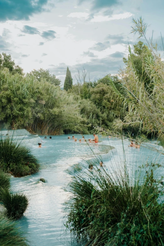 people swimming in a river near a forest