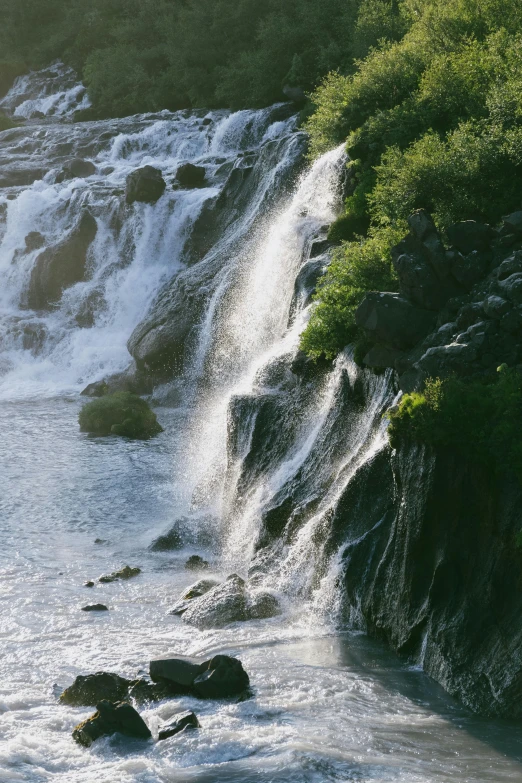 an animal sits on the rocks in front of a waterfall