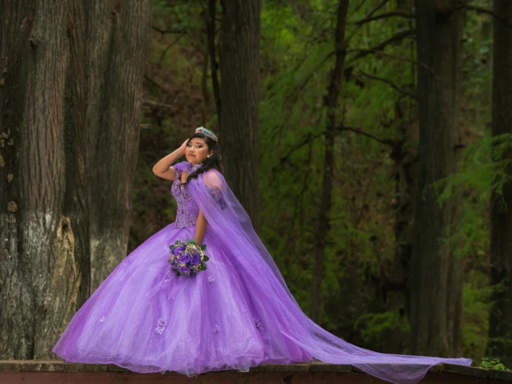 a woman in a purple gown standing on a bridge in a forest