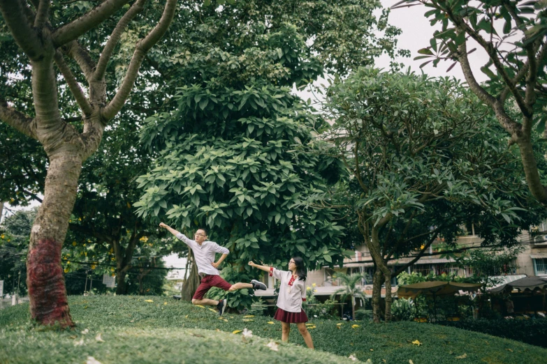 people doing exercises in the park by some trees