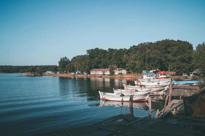 a row of boats are docked on the shore of a lake