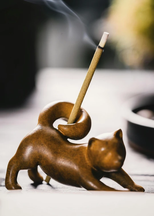 a pipe is coming out of a smoking cat