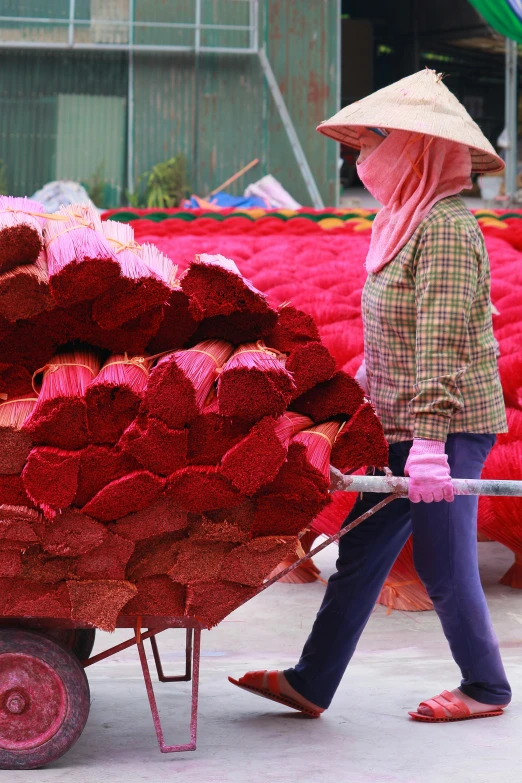 the woman in hat is hing the cart of roses