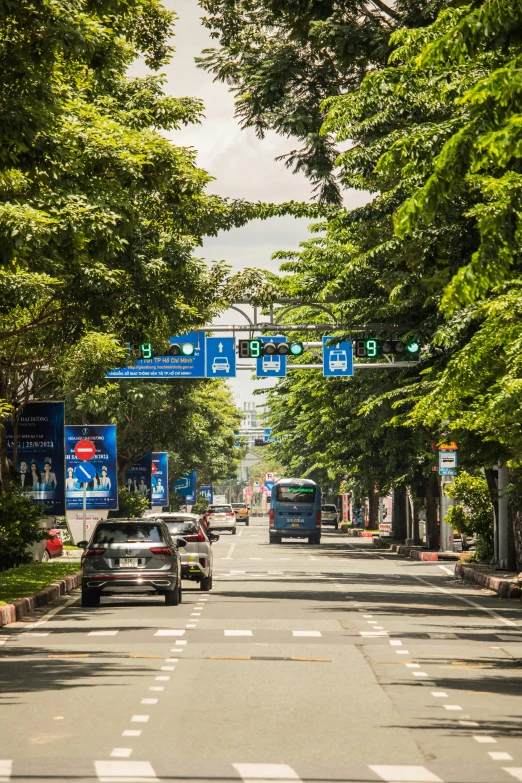 some cars driving down a tree lined road