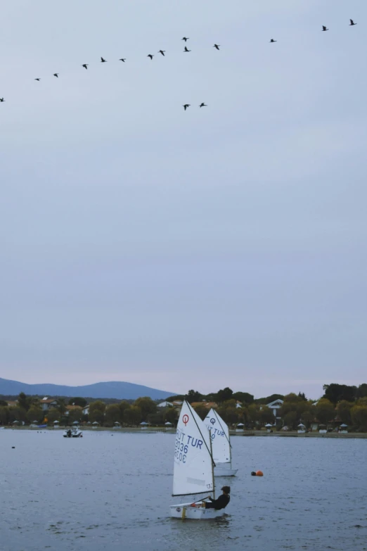 a small sailboat that is out in the water