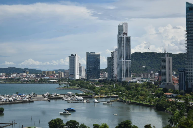 the city is on the water in this view