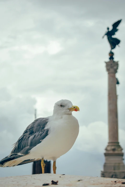 a seagull stands next to a statue in the background