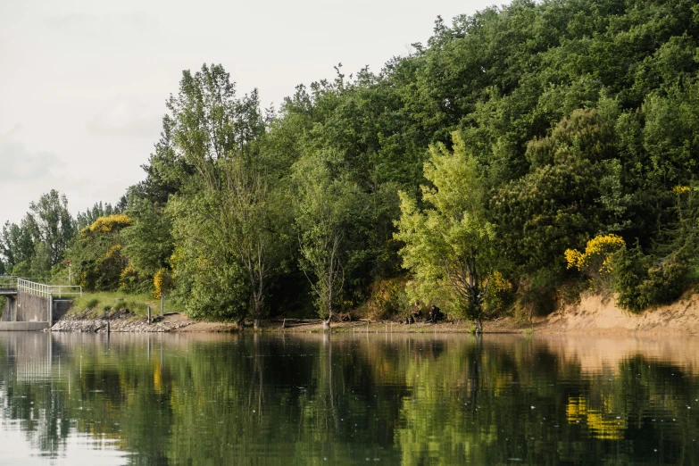 a body of water with trees in the background