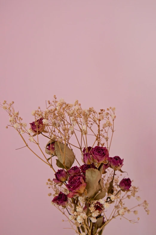 purple flowers against a pink background in a vase