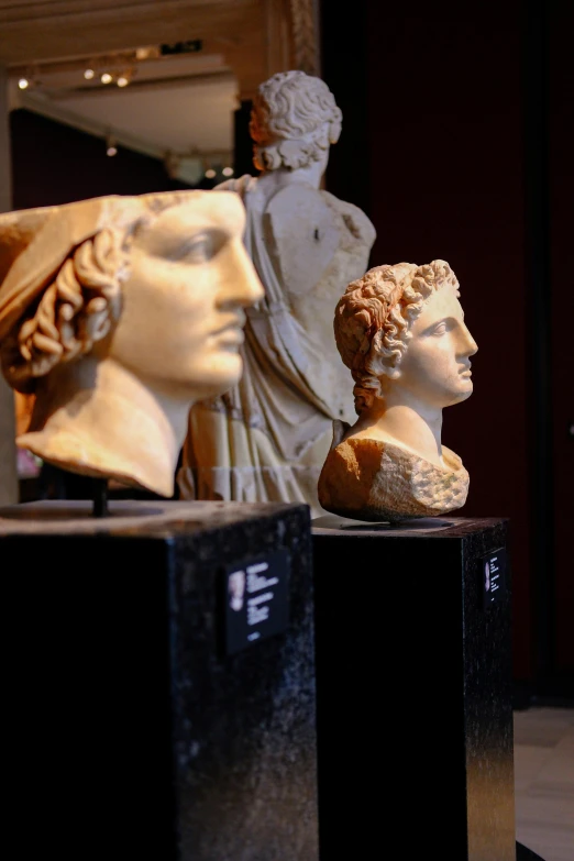 two head sculptures sitting on display in front of each other