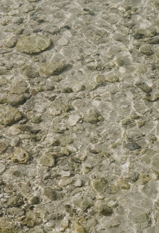 an image of a bunch of rocks and sand on the ground