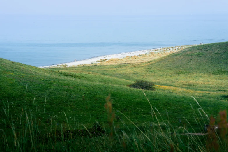 some grass and hills with a beach in the background