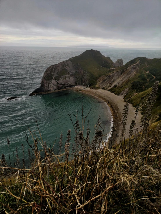 some trees are on the shore of a bay