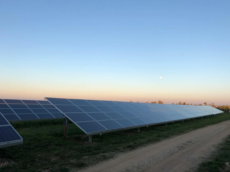 a row of solar panels in a grassy field