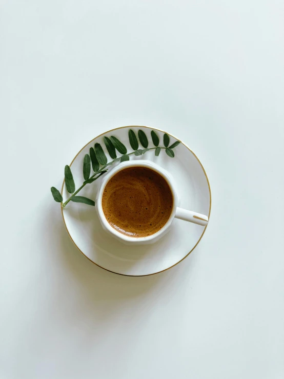 a cup of  cocoa is in a saucer with green leaves