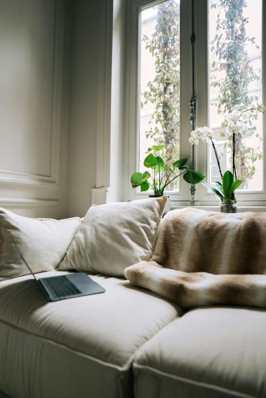 a couch with two pillows and plants in it next to a window