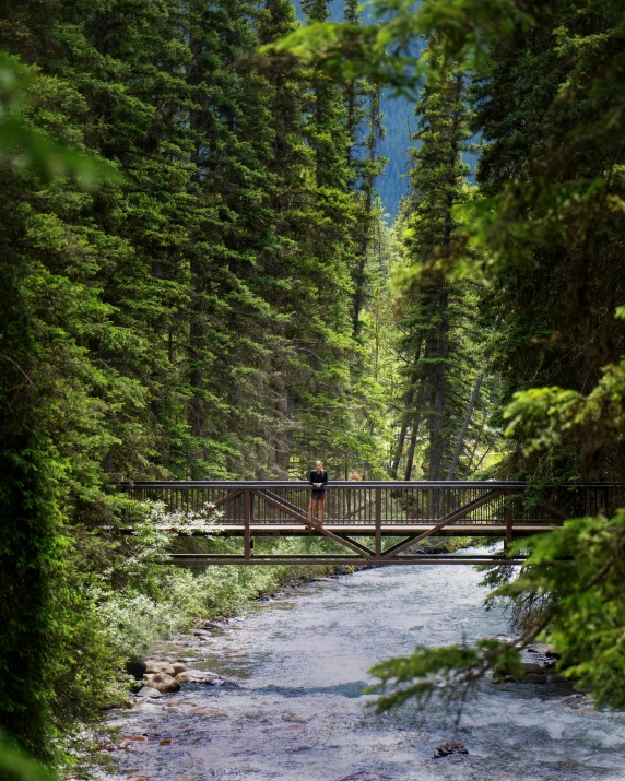 a man standing on a bridge over a river in the woods