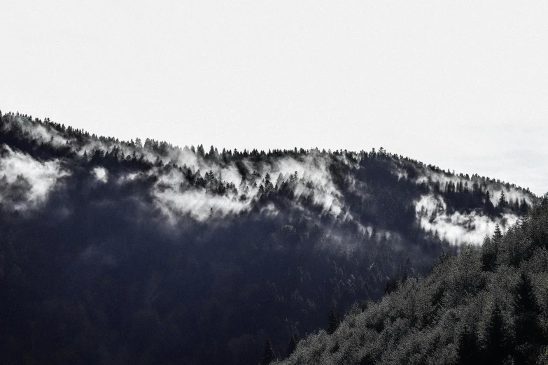 a mountain is seen with lots of trees