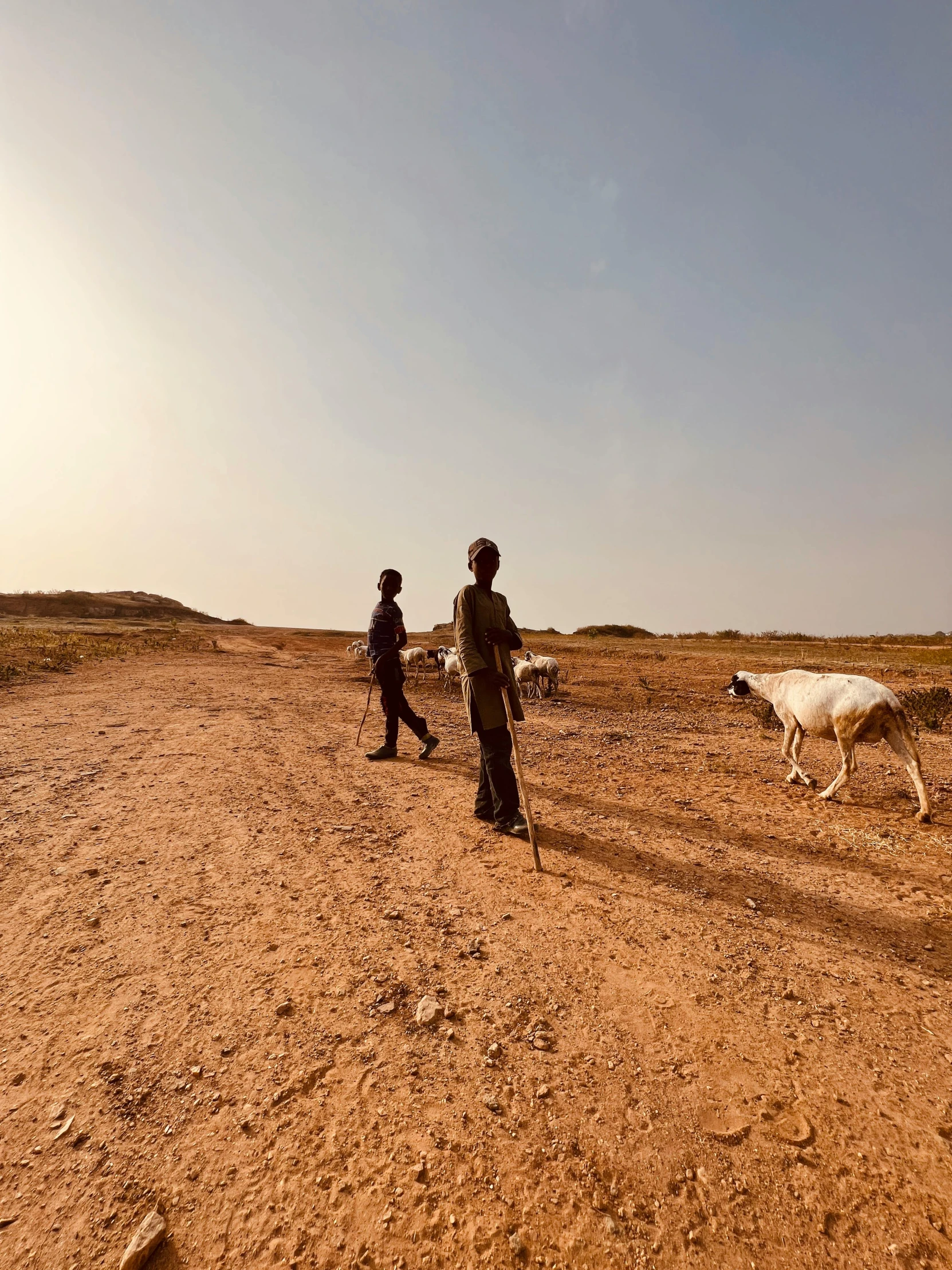 two people standing on a dirt road with a cow