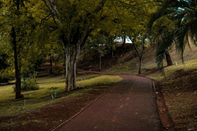 a paved road surrounded by green trees in a park