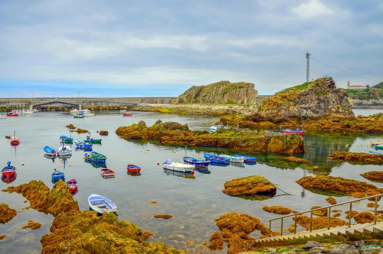 many boats parked in the water near the shore