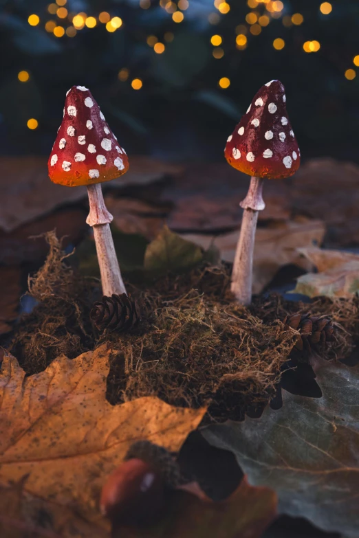 two little mushrooms sitting on leaves with lights behind them