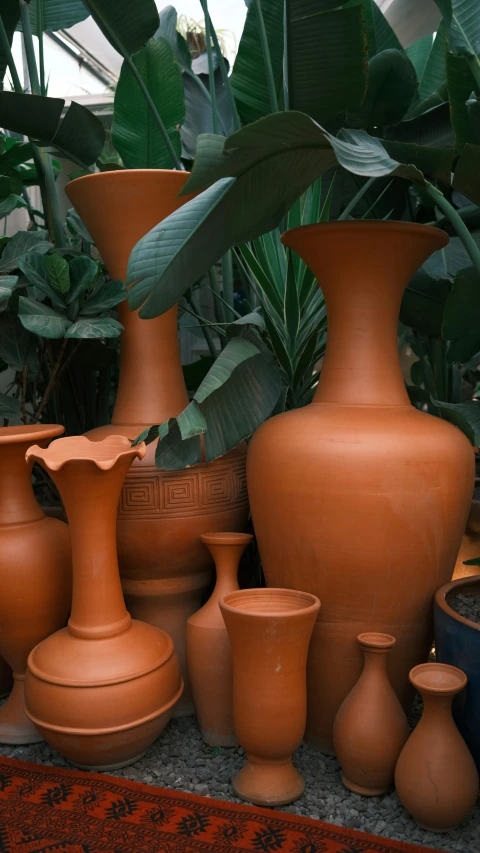 there are several vases next to a variety of plants