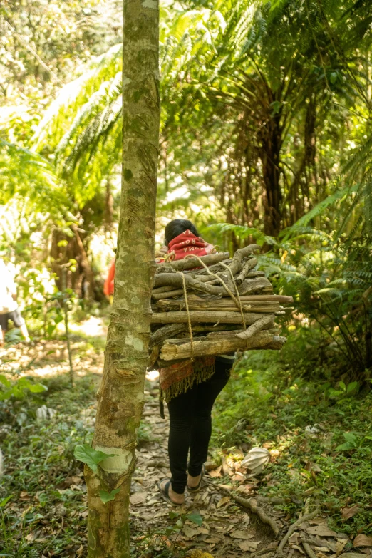 a woman carrying logs down a path in the woods