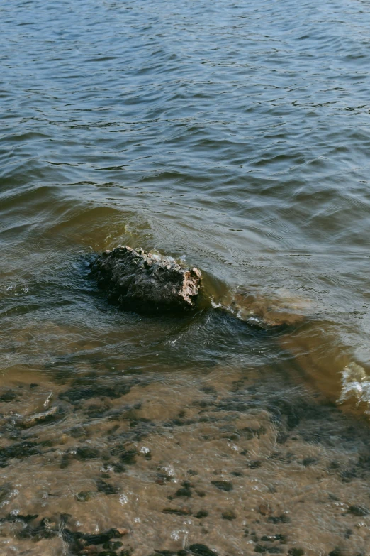 a rock on the water with very little bubbles in it