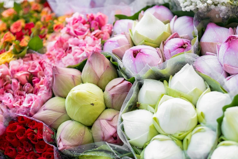 colorful flowers are arranged in the shape of a wreath