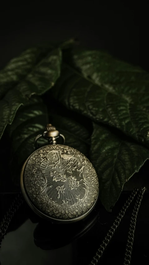 a small pocket watch sitting next to some green leaves