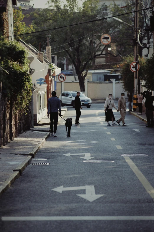 people walking with dogs in an inner city street