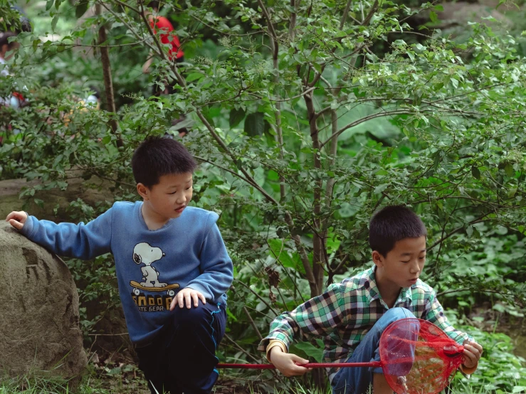 two boys play in the grass near a bush