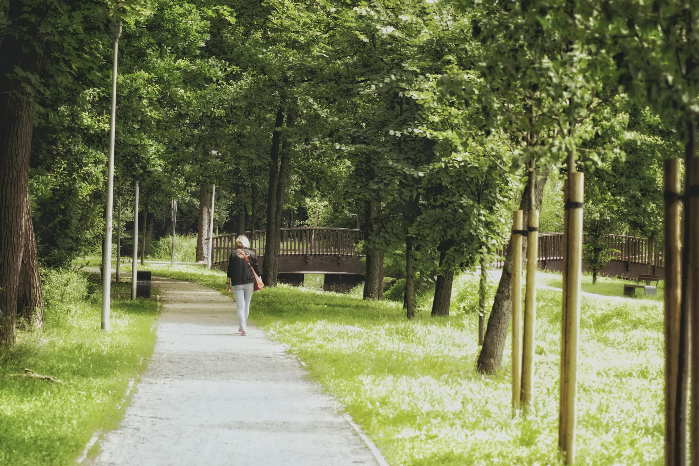 a person walking down the path in a green forest