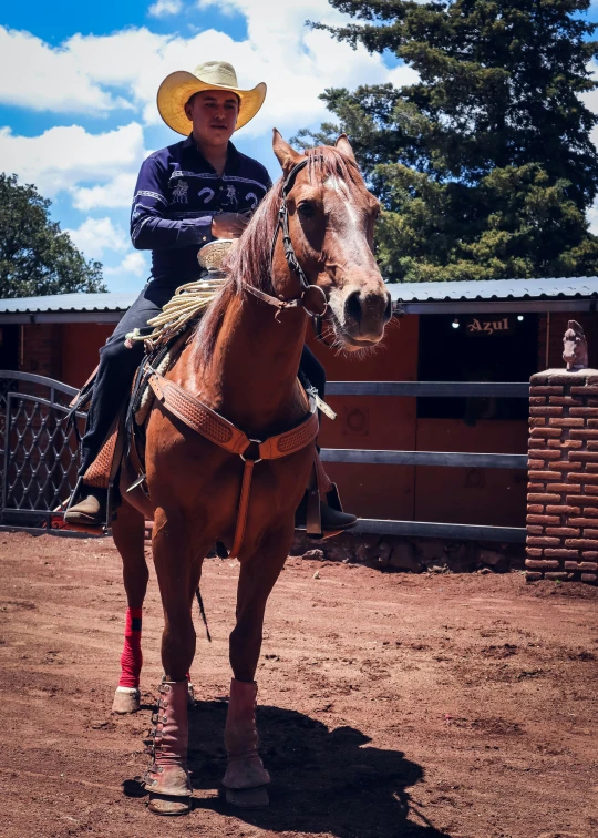 a man in a cowboy hat riding a horse