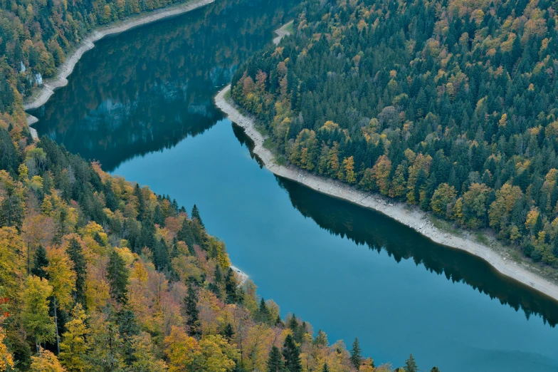 there are several rivers of water flowing through the wilderness