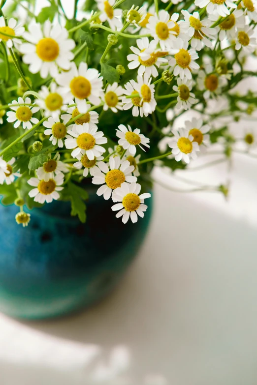 flowers in a blue pot on a table