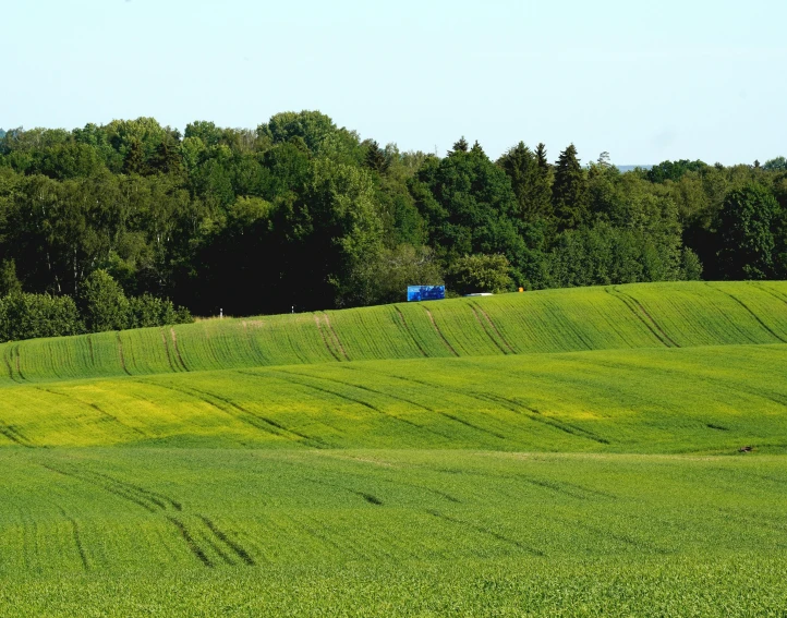 the rolling field has a blue truck parked on it