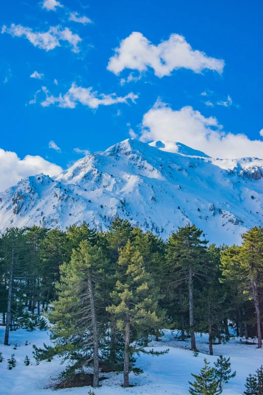 a snowy mountain in the middle of the woods