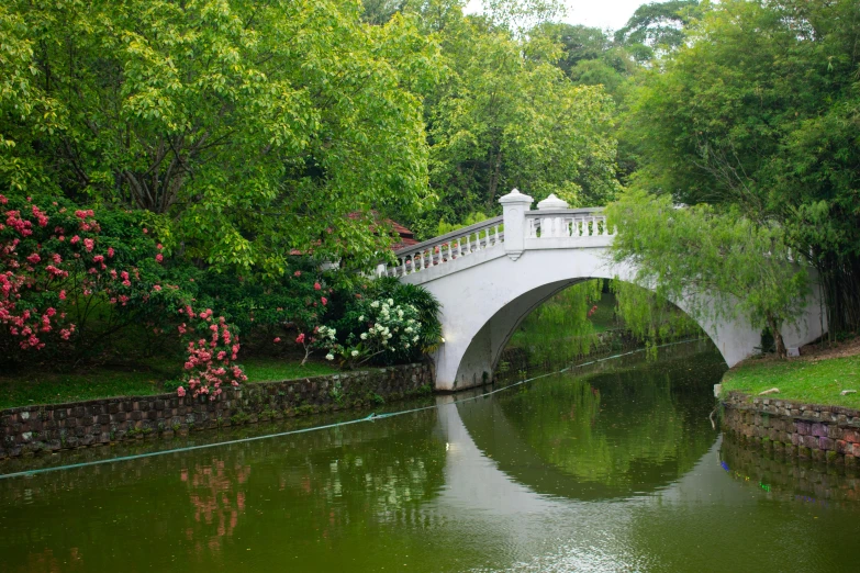 a white bridge that is surrounded by some green trees