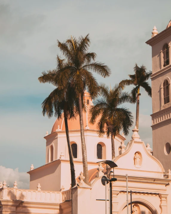 palm trees in front of an old building