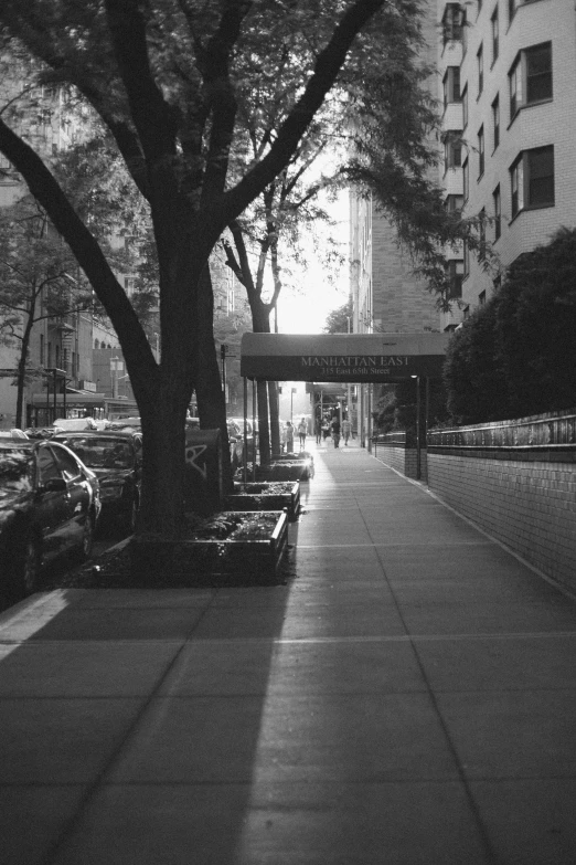 a sidewalk is shown next to a tree and car