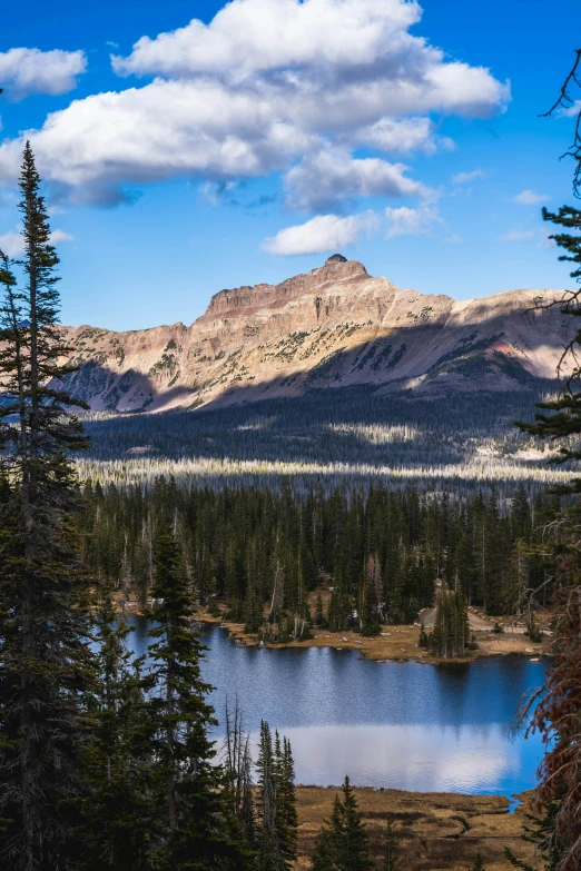 mountains and forest with a lake in the foreground