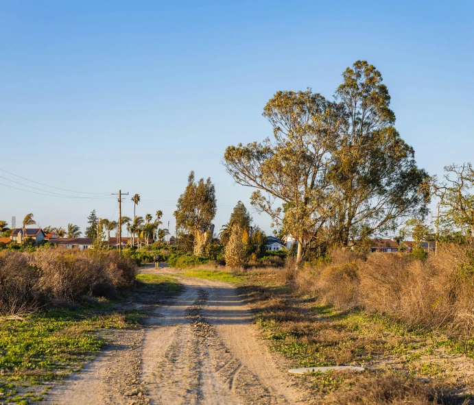 a lone dirt road that has trees in the background