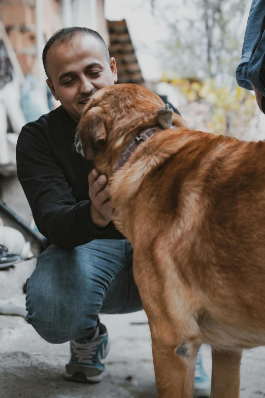 a man is petting a large brown dog