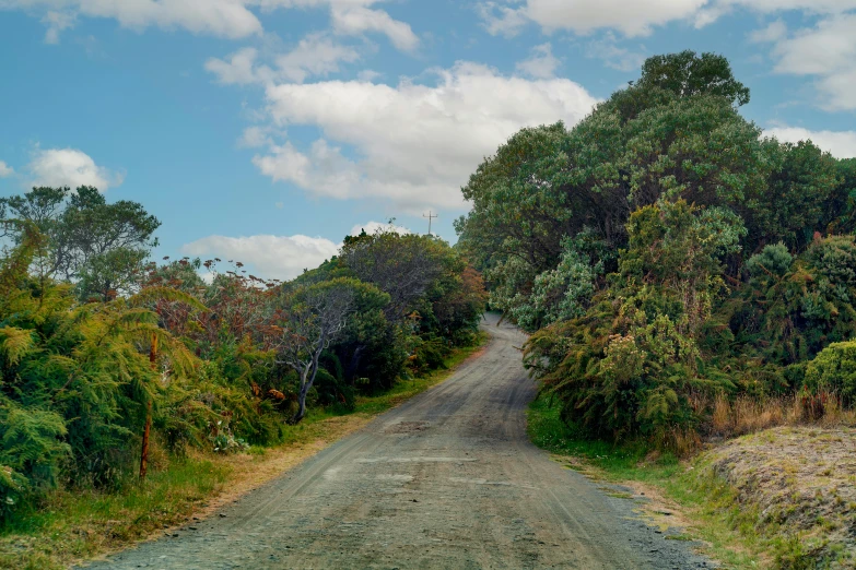 a country road with a red stop sign on the corner