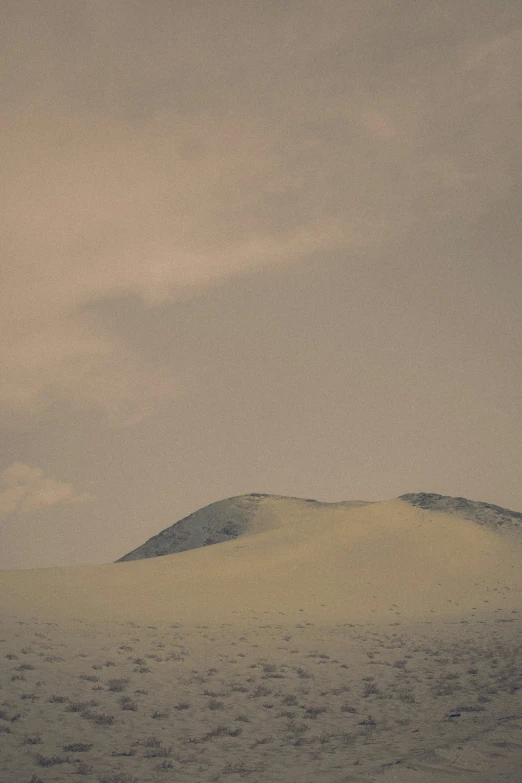 a lone bird flying over an icy landscape