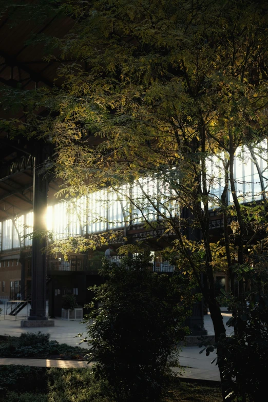 a sun shines through the windows of a large building