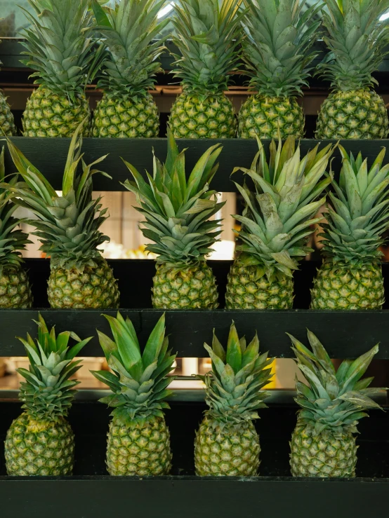 an array of pineapples for sale in a market