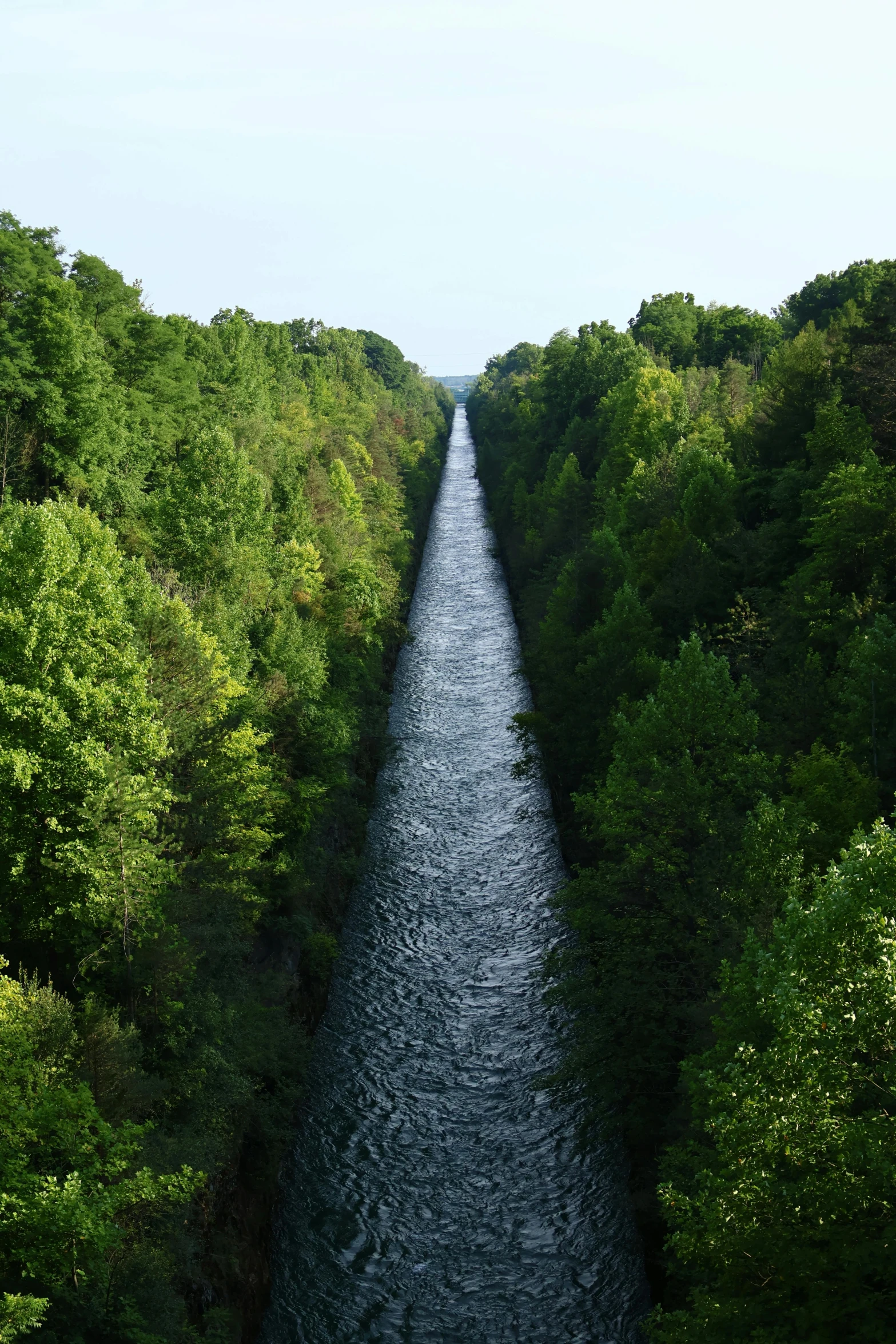 this is a narrow river in a forested area